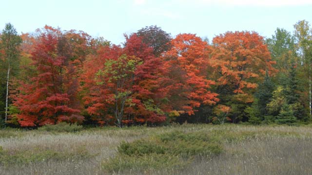 Door County